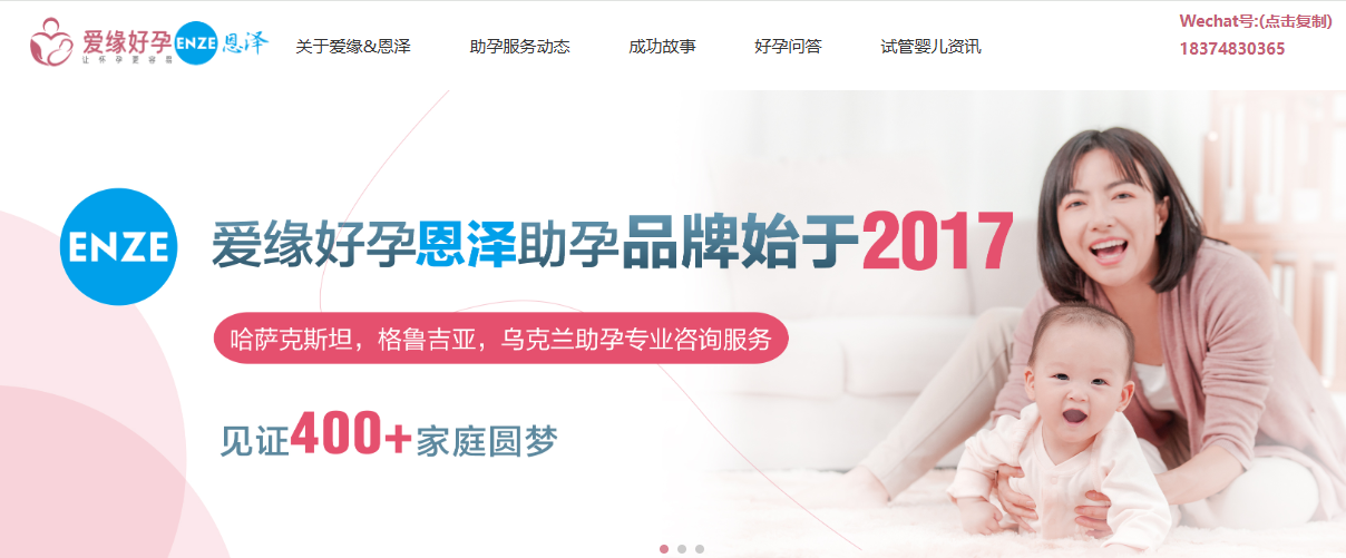 湖南恩孕貝健康管理有限公司網站建設案例